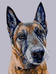 Raqamlar bo&#039;yicha rasm &quot;Sadoqatli it&quot;