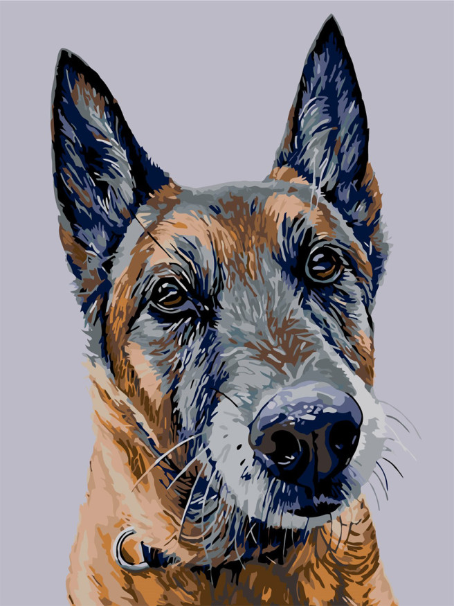 Raqamlar bo&amp;#039;yicha rasm &amp;quot;Sadoqatli it&amp;quot;