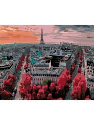 Картина по номерам &amp;quot;Нежные орхидеи&amp;quot;