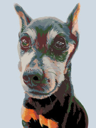 Raqamlar bo&#039;yicha rasm &quot;Kuchuk rasmi&quot;