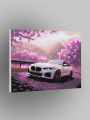 Raqamlar bo‘yicha rasm “Oq BMW”