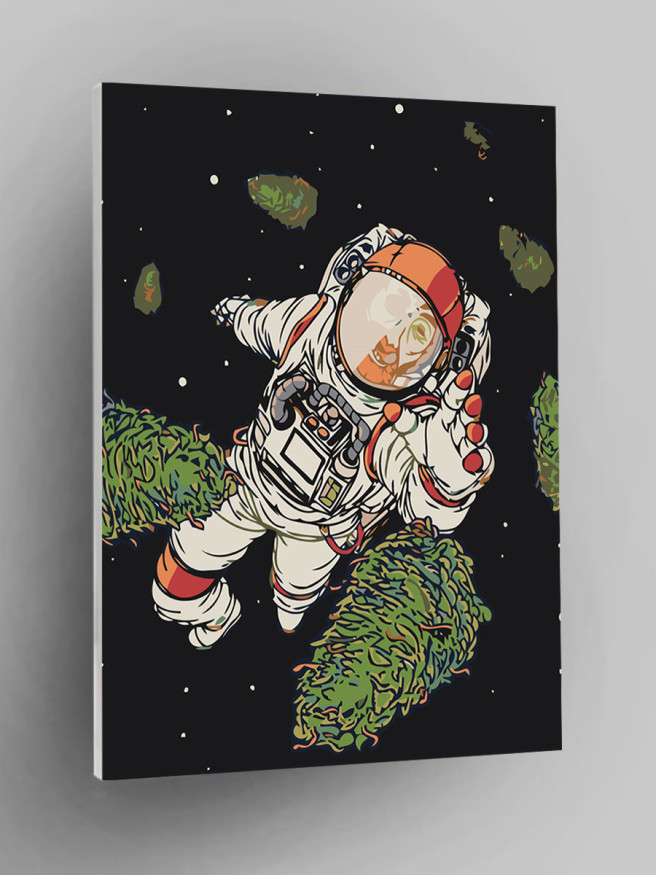 Картина по номерам &amp;quot;Космонавт&amp;quot;