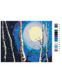 Картина по номерам &amp;quot;Свет луны&amp;quot;