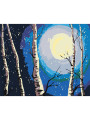 Картина по номерам &amp;quot;Свет луны&amp;quot;