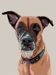 Raqamlar bo&#039;yicha rasm &quot;Kuchuk rasmi&quot;