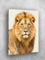 Постер на холсте &amp;quot;Золотистый лев с гривой&amp;quot;