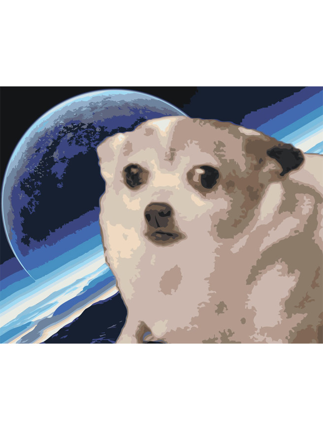 Raqamlar bo&amp;#039;yicha rasm &amp;quot;Kosmosdagi it&amp;quot;