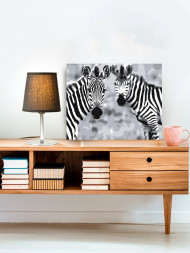 Raqamlar bo'yicha rasm "Ikki zebra"