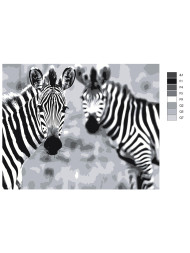 Raqamlar bo'yicha rasm "Ikki zebra"