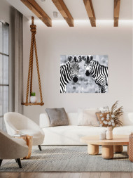 Raqamlar bo'yicha rasm "Ikki zebra"