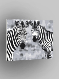 Raqamlar bo'yicha rasm "Ikki zebra"