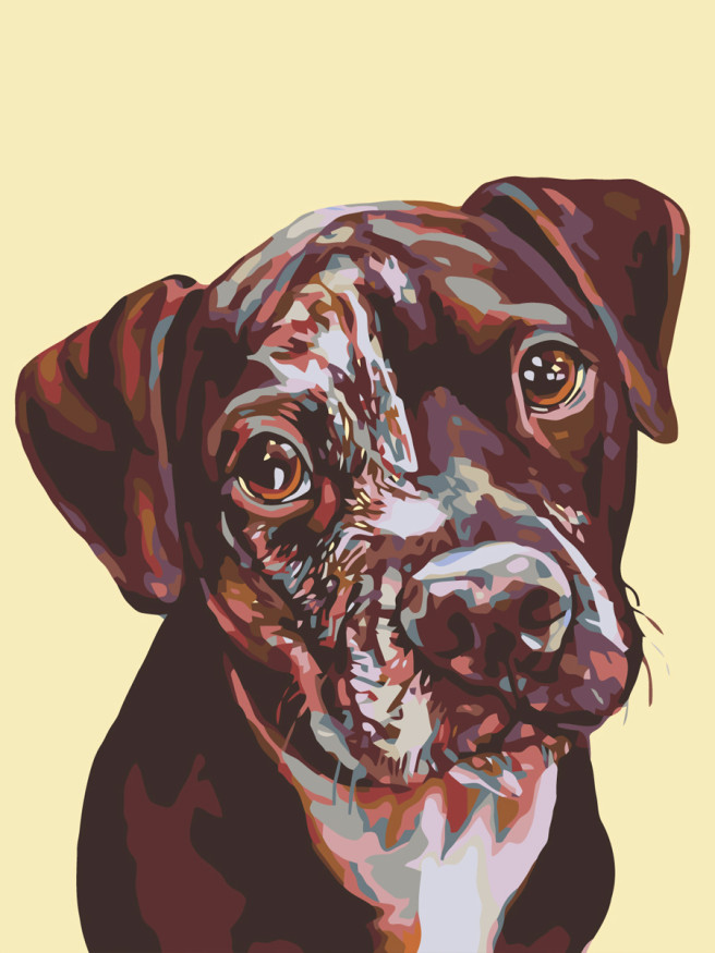 Raqamlar bo&amp;#039;yicha rasm &amp;quot;Kuchuk rasmi&amp;quot;