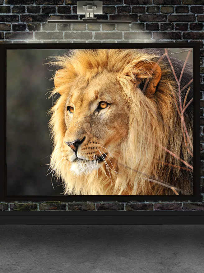 Постер на холсте &amp;quot;Портрет льва в профиль&amp;quot;