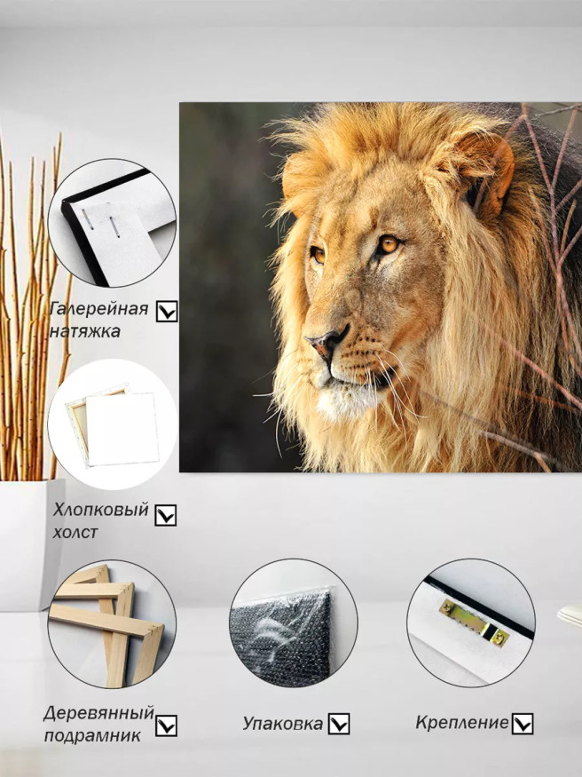 Постер на холсте &amp;quot;Портрет льва в профиль&amp;quot;