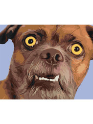 Raqamlar bo&#039;yicha rasm &quot;Qiziqarli it&quot;