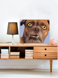 Raqamlar bo&#039;yicha rasm &quot;Qiziqarli it&quot;