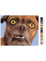 Картина по номерам &amp;quot;Смешная собака&amp;quot;