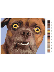 Raqamlar bo&#039;yicha rasm &quot;Qiziqarli it&quot;