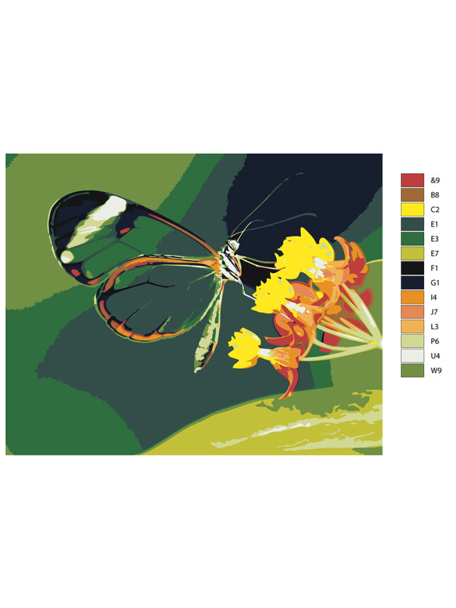 Raqamlar bo&amp;#039;yicha rasm &amp;quot;Gul ustidagi kapalak&amp;quot;