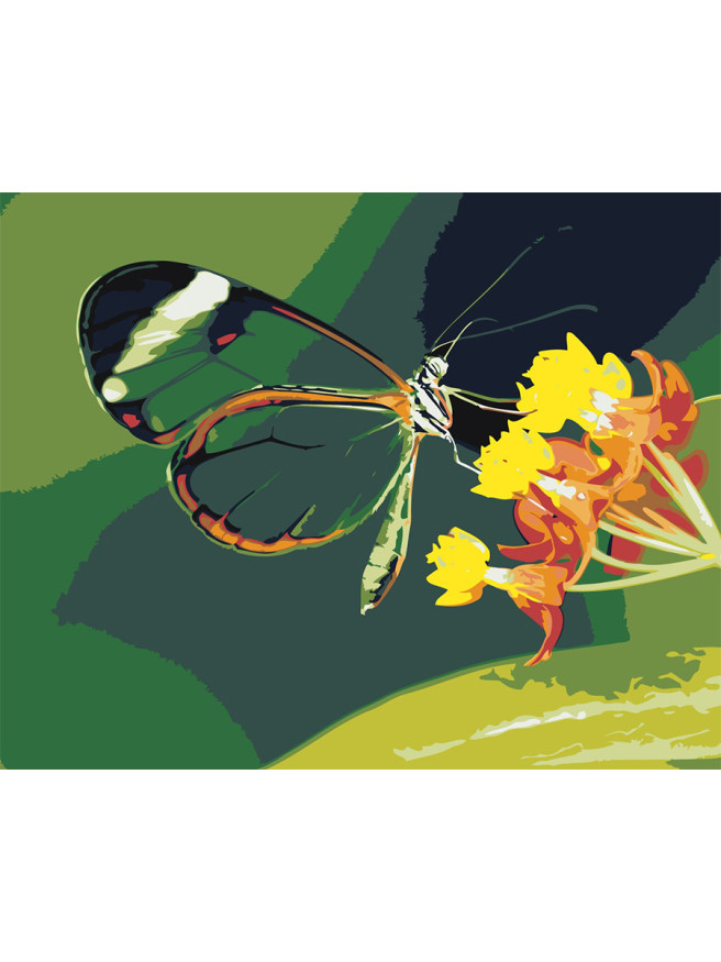 Raqamlar bo&amp;#039;yicha rasm &amp;quot;Gul ustidagi kapalak&amp;quot;