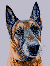 Raqamlar bo&#039;yicha rasm &quot;Kuchuk rasmi&quot;