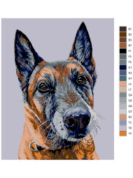 Raqamlar bo&#039;yicha rasm &quot;Kuchuk rasmi&quot;