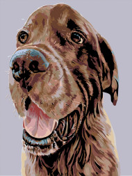 Raqamlar bo&#039;yicha rasm &quot;Kuchuk rasmi&quot;