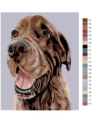 Raqamlar bo&#039;yicha rasm &quot;Kuchuk rasmi&quot;