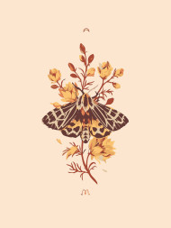 Картина по номерам "Бабочка на цветке"