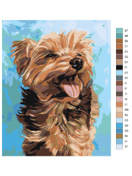 Raqamlar bo&#039;yicha rasm &quot;Yumshoq it&quot;