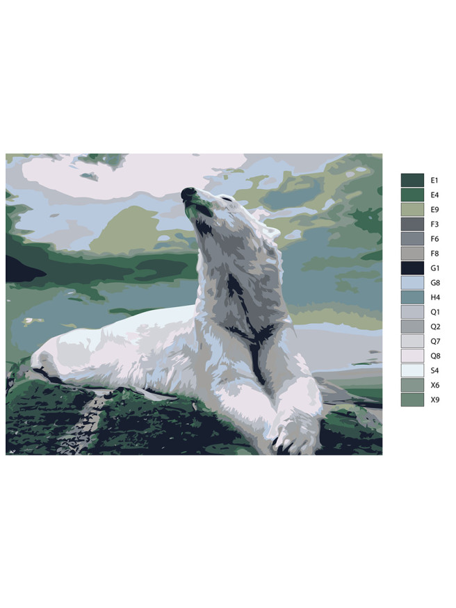 Raqamlar bo&amp;#039;yicha rasm &amp;quot;Oq ayiq&amp;quot;