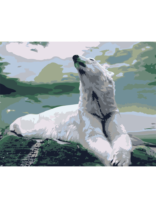 Raqamlar bo&amp;#039;yicha rasm &amp;quot;Oq ayiq&amp;quot;