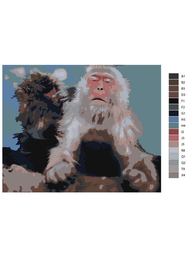 Картина по номерам &amp;quot;Пара обезьян&amp;quot;