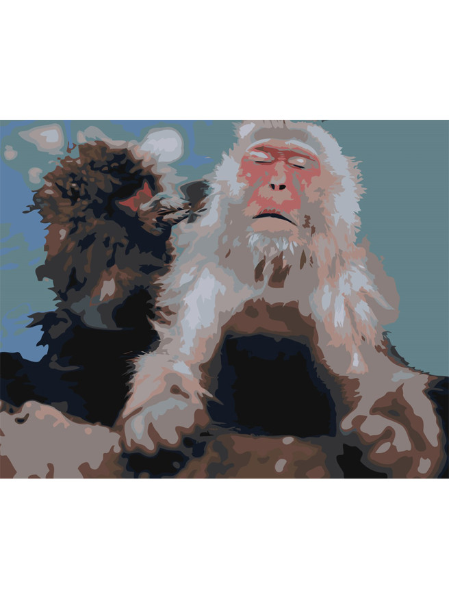 Картина по номерам &amp;quot;Пара обезьян&amp;quot;