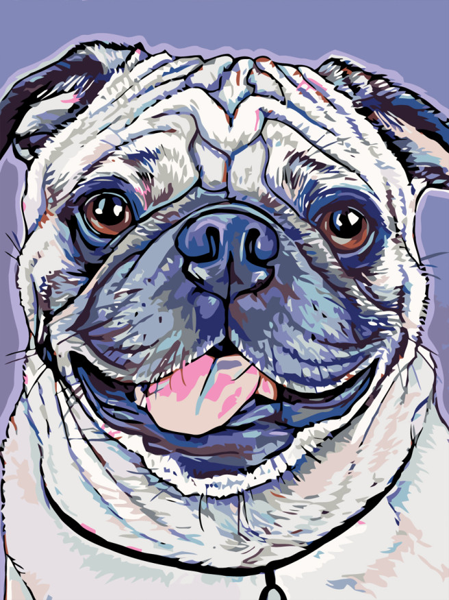 Raqamlar bo&amp;#039;yicha rasm &amp;quot;Oq mops&amp;quot;