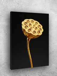 Постер на холсте &amp;quot;Золотая коробочка лотоса&amp;quot;