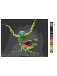 Raqamlar bo'yicha rasm "Mantis"