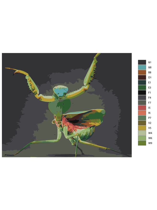 Raqamlar bo&amp;#039;yicha rasm &amp;quot;Mantis&amp;quot;