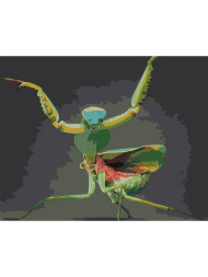 Raqamlar bo'yicha rasm "Mantis"