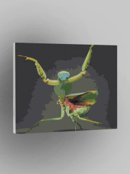 Raqamlar bo'yicha rasm "Mantis"