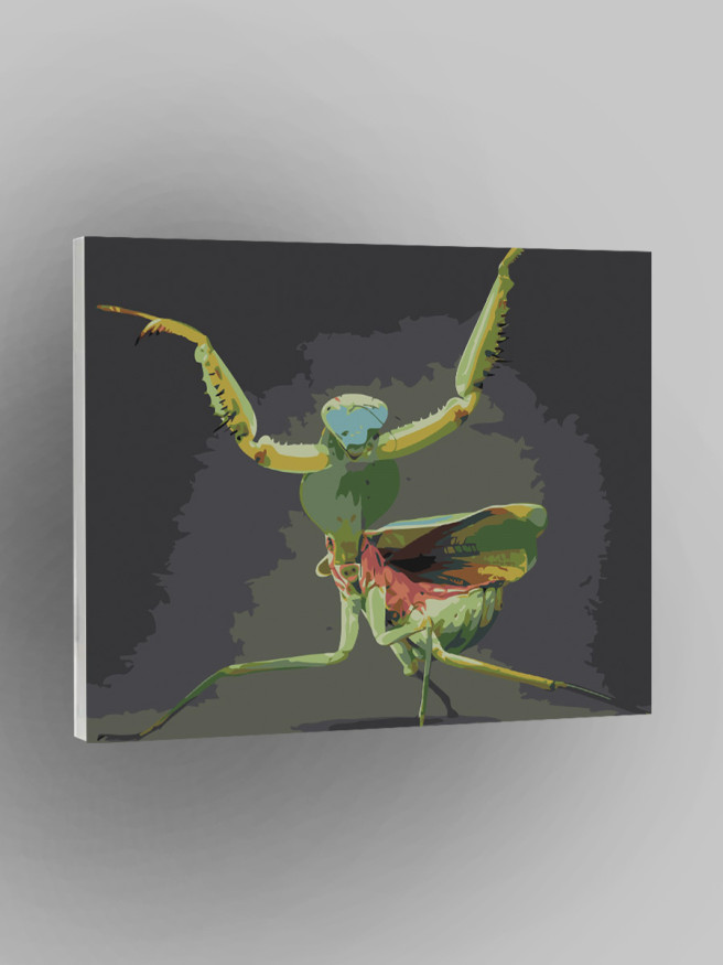 Raqamlar bo&amp;#039;yicha rasm &amp;quot;Mantis&amp;quot;