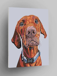 Raqamlar bo&#039;yicha rasm &quot;Rottweiler&quot;