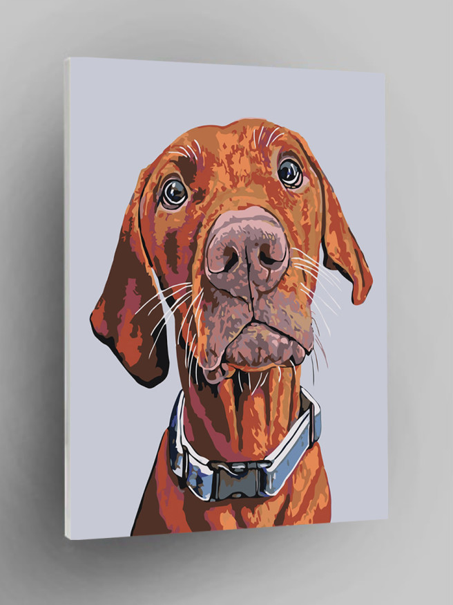 Raqamlar bo&amp;#039;yicha rasm &amp;quot;Rottweiler&amp;quot;