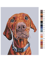 Raqamlar bo&#039;yicha rasm &quot;Rottweiler&quot;