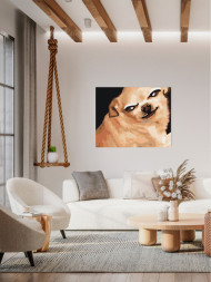 Raqamlar bo&#039;yicha rasm &quot;Qiziqarli it&quot;