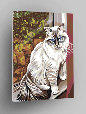 Sambuka Katya (ertak filmi)