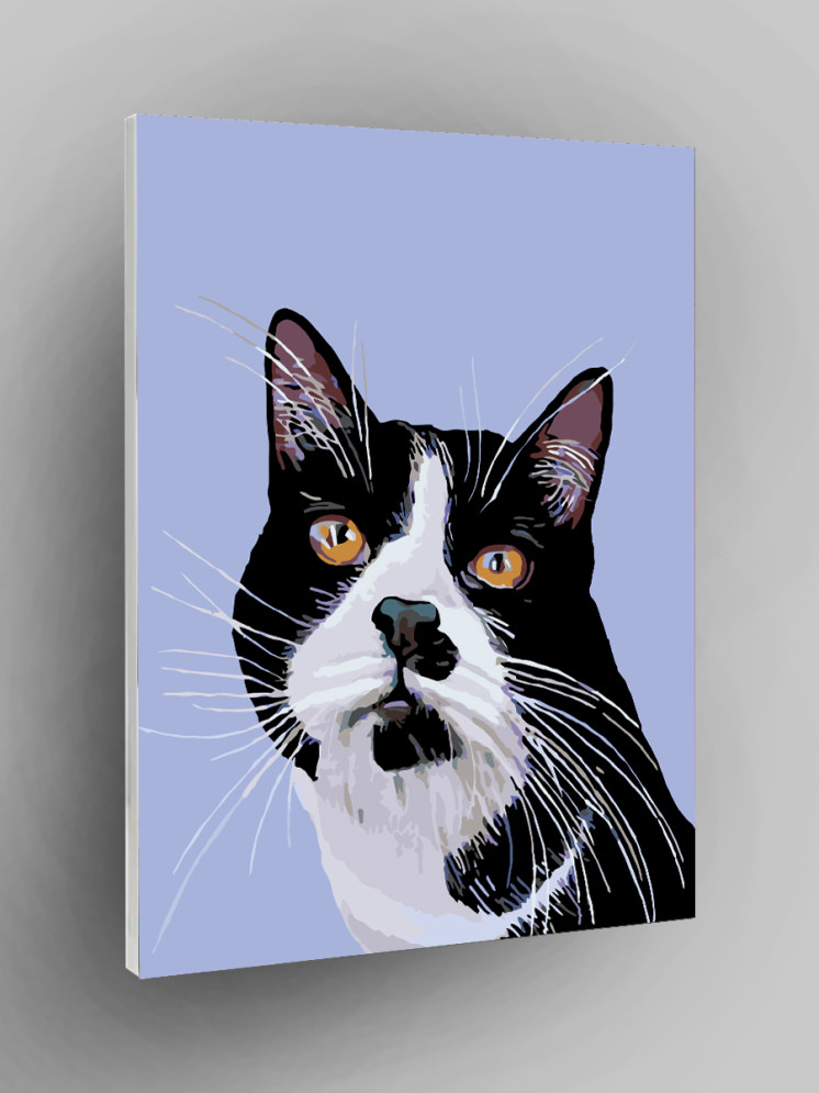 Osiyo mushuk rasmlar