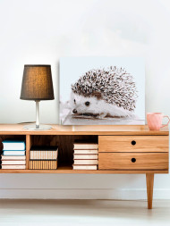 Raqamlar bo&#039;yicha rasm &quot;Yoqimli kirpi&quot;