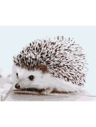 Raqamlar bo&#039;yicha rasm &quot;Yoqimli kirpi&quot;