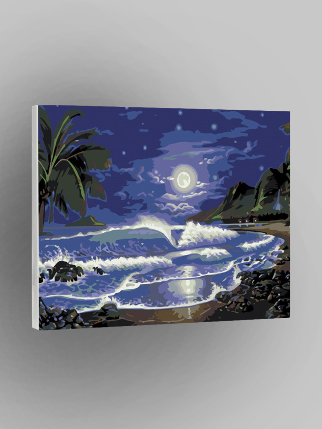 Картина по номерам &amp;quot;Полнолуние&amp;quot;